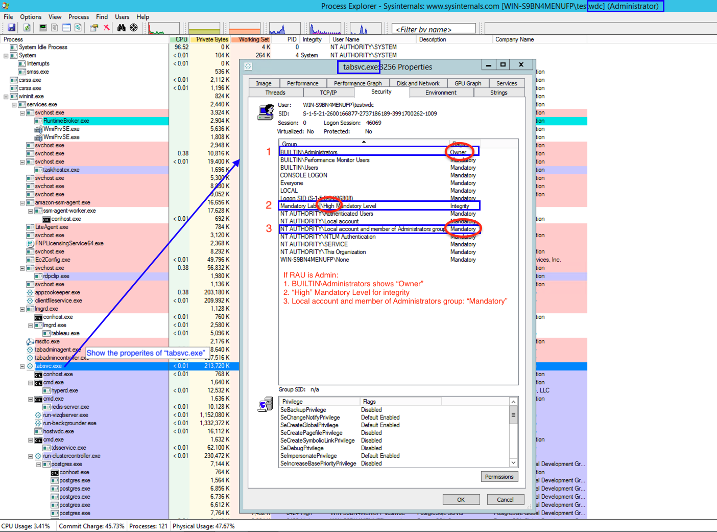 Screenshot of Windows Process Explorer showing relevant entries